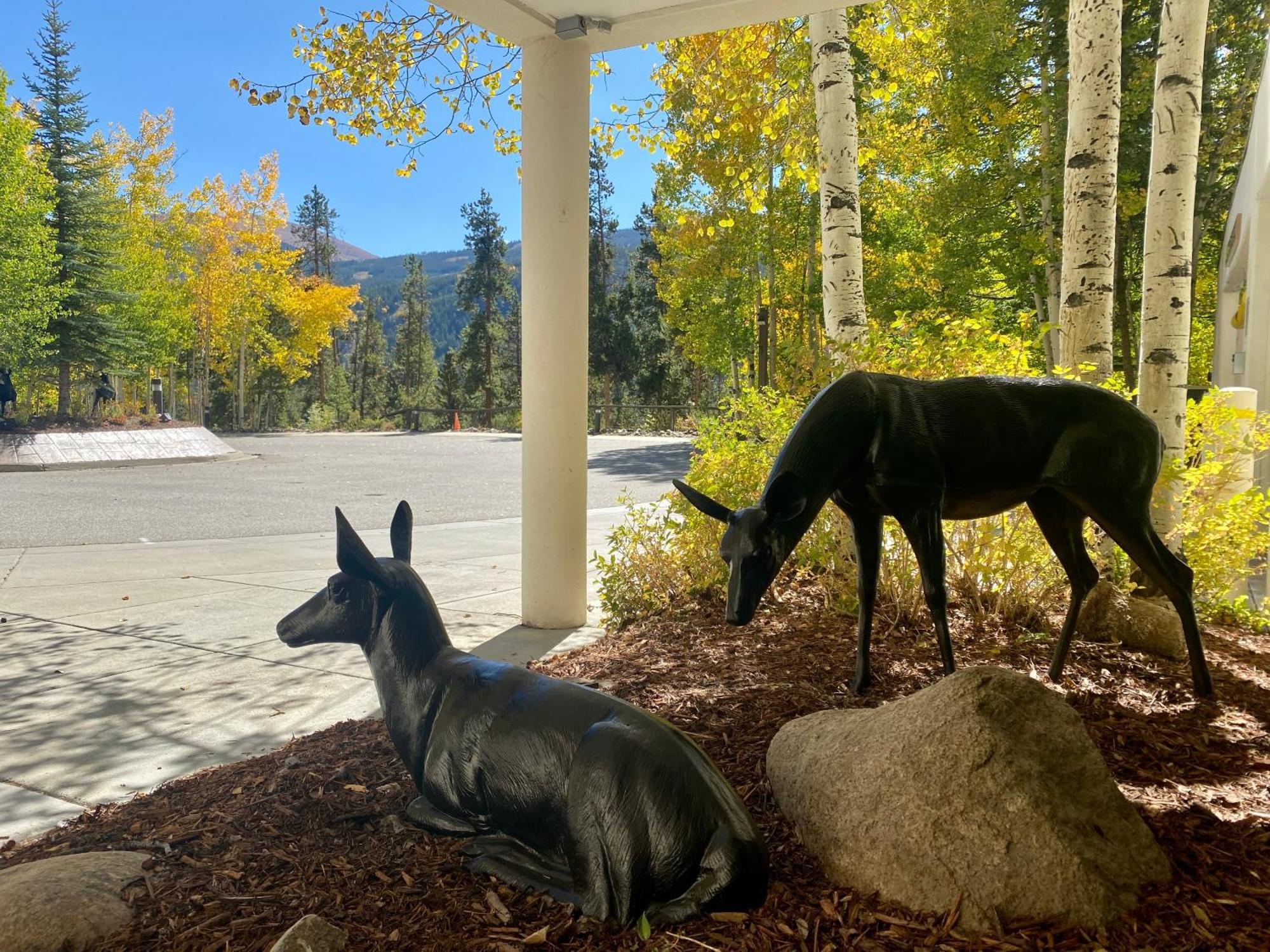 Wild Irishman 1043 By Summitcove Lodging Keystone Exteriör bild